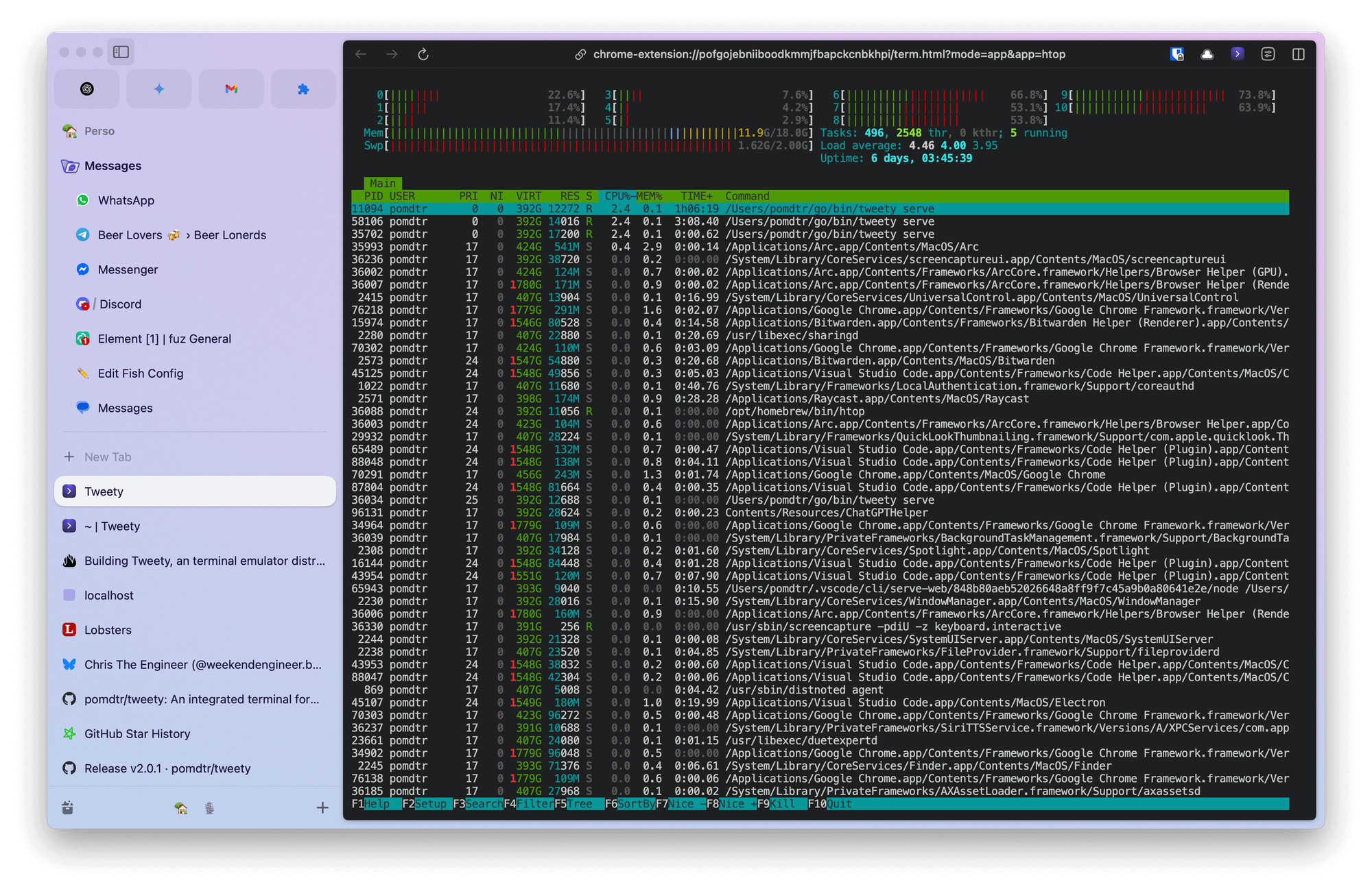 htop running in tweety