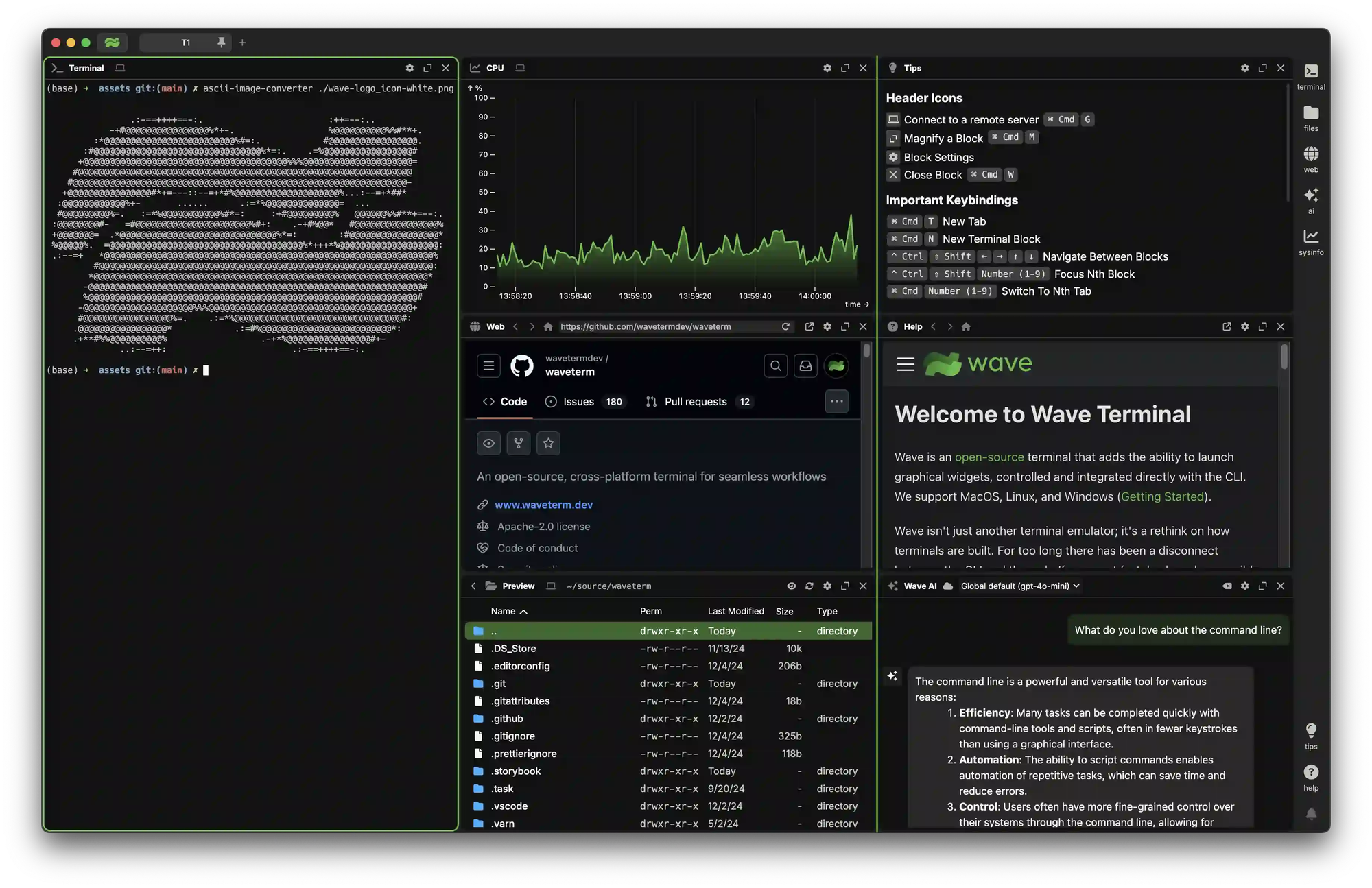 screenshot of the wave terminal